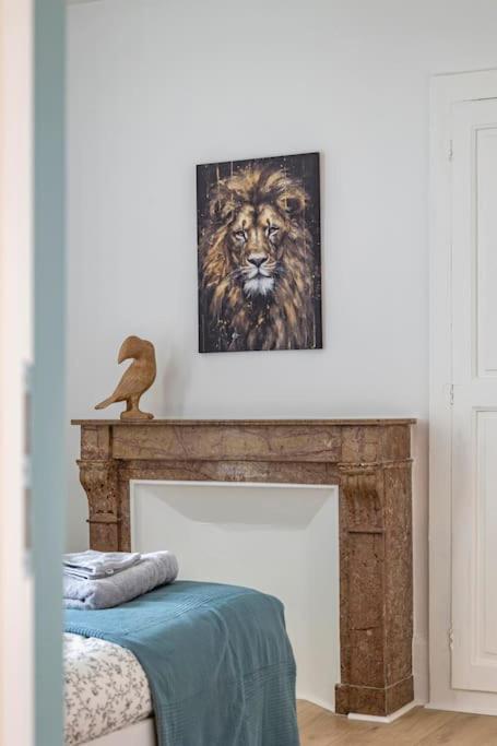 Lion King Appart 65 M2 Tout Inclus 索恩河畔沙隆 外观 照片